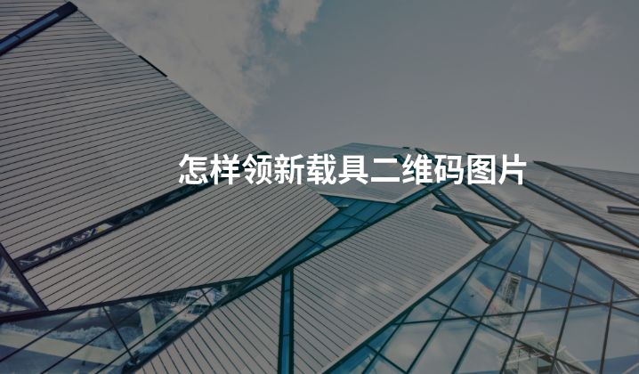 怎样领新载具二维码图片