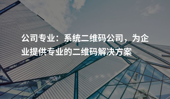 公司专业：系统二维码公司，为企业提供专业的二维码解决方案