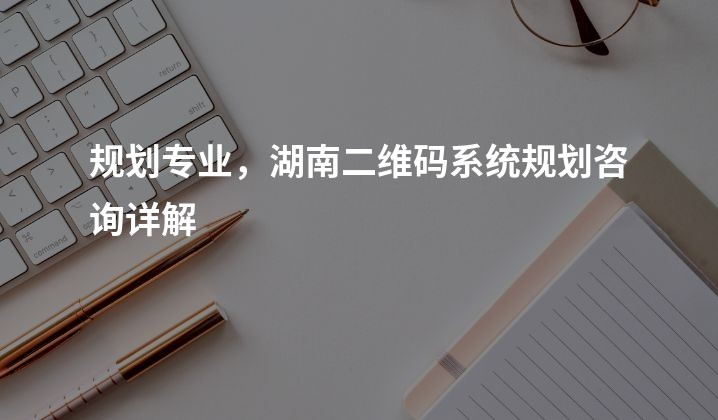 规划专业，湖南二维码系统规划咨询详解