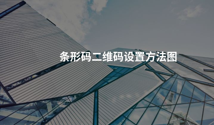 条形码二维码设置方法图