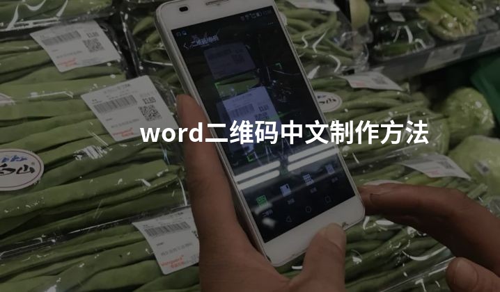 word二维码中文制作方法