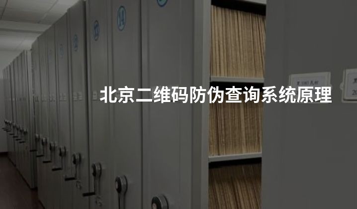 北京二维码防伪查询系统原理