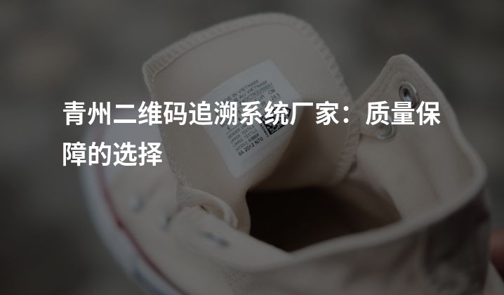 青州二维码追溯系统厂家：质量保障的选择